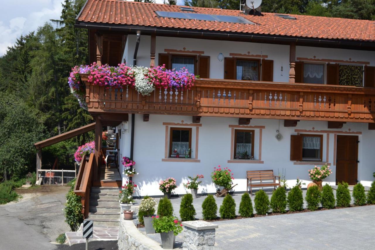Apartament Gruberhof Rodeneck Zewnętrze zdjęcie